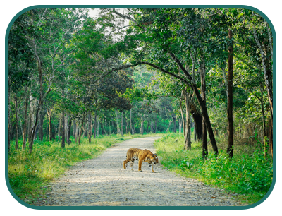 /images/destination/day_5-nagarhole_national-park-sm_1.png