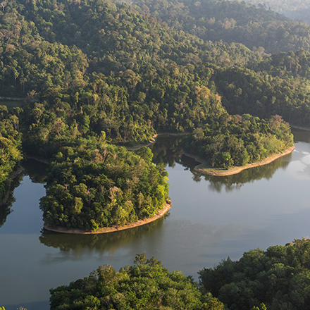 /images/destination/day_5_thekkady_munnar-sm_1.jpg