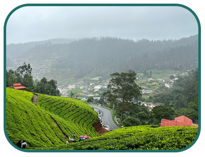 /images/destination/day_8-wayanad-ooty-sm_1.png