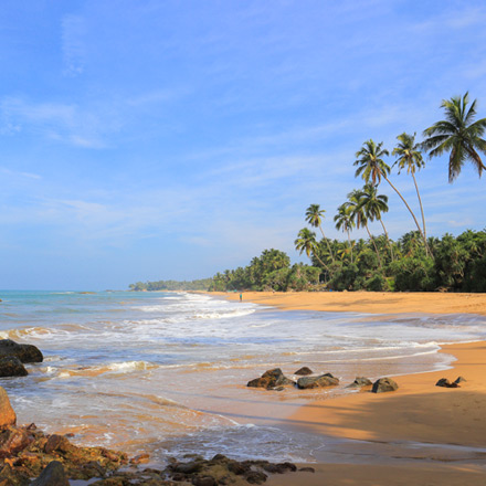 /images/destination/enchanting-sri-lanka-iti-11.jpg
