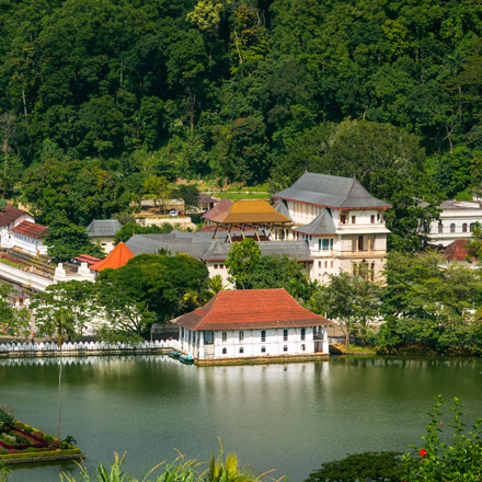 /images/destination/enchanting-sri-lanka-iti-4.jpg