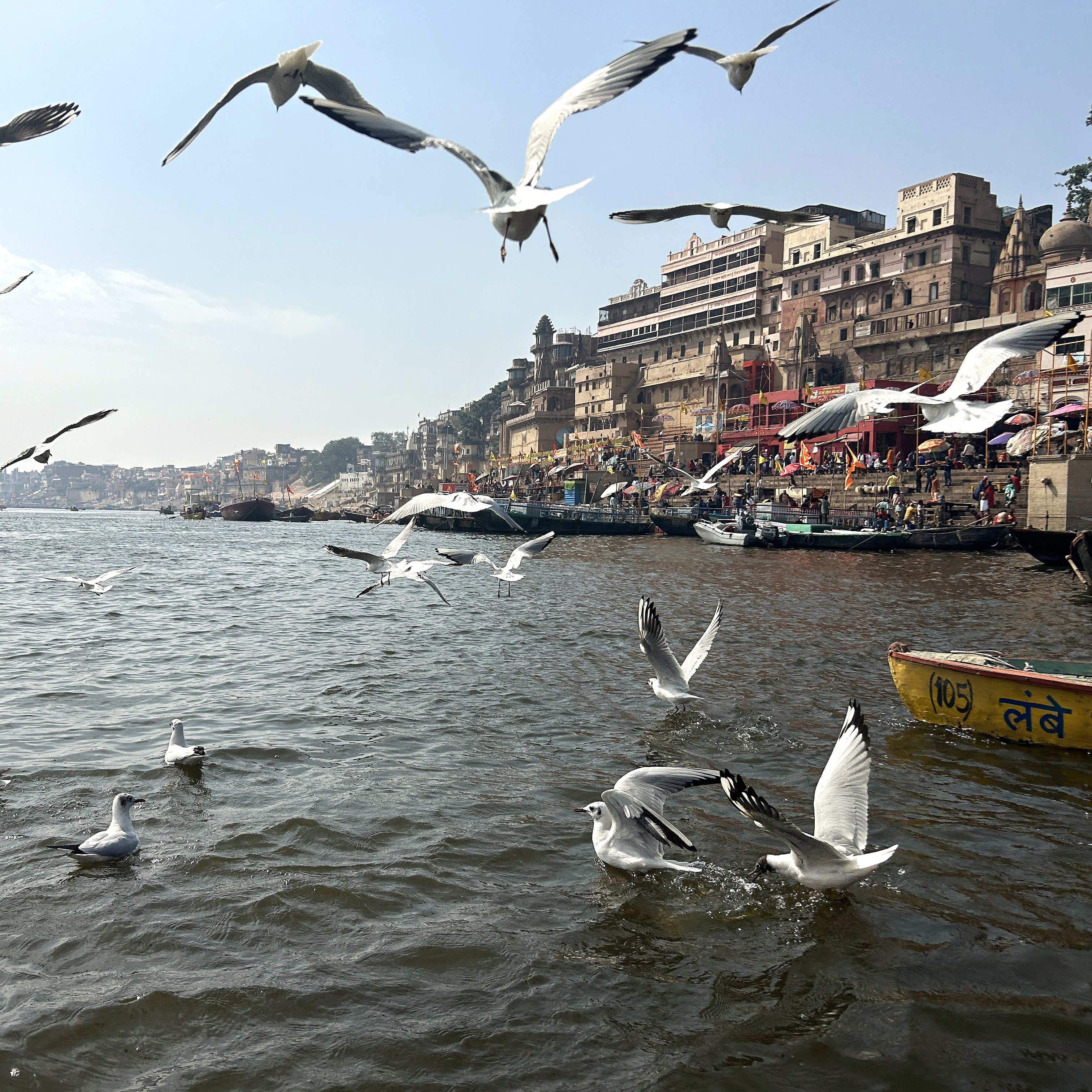 /images/destination/flock-of-birds-soaring-above-water-with-distant-bu-2026-03-18-12-14-47-utc.jpg