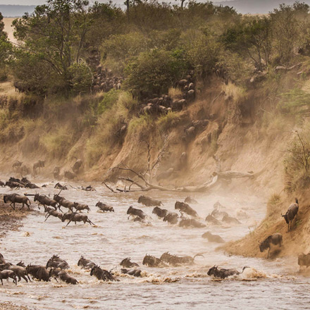 /images/destination/from-the-maasai-mara-iti-3.jpg