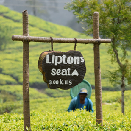 /images/destination/golden-triangle-with-sri-lanka-iti-11.jpg