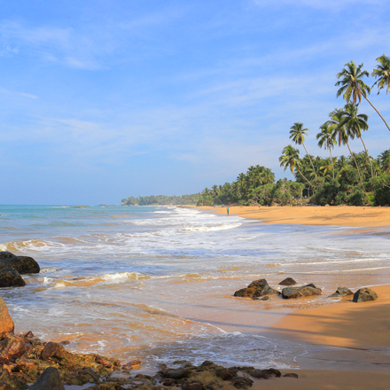 /images/destination/golden-triangle-with-sri-lanka-iti-13.jpg