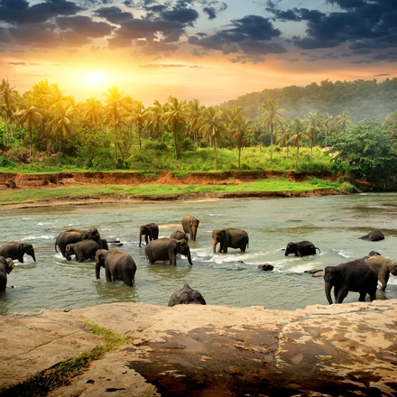 /images/destination/golden-triangle-with-sri-lanka-iti-7.jpg