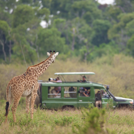 /images/destination/kenya-mombasa-dreams–safari-iti-5.jpg