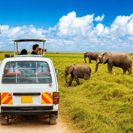 /images/destination/kenya-safari-iti-01.jpg