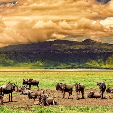 /images/destination/kenya-safari-with-mauritius-3.jpg