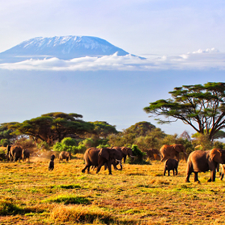 /images/destination/kenya-safari-zanzibar-escape-iti-2.jpg