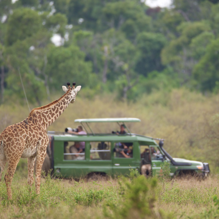 /images/destination/kenya-safari-zanzibar-escape-iti-5.jpg