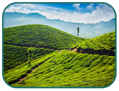 /images/destination/kerala-experience-day4_1.png