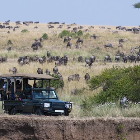 /images/destination/lake-elementaita-masai-mara-3.jpg