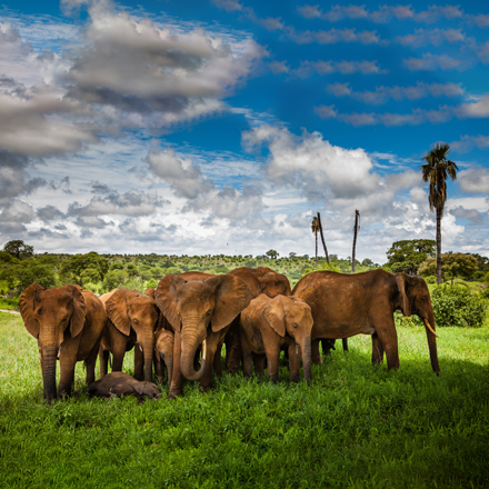 /images/destination/luxury-tanzania-safari-zanzibar-iti-1.jpg