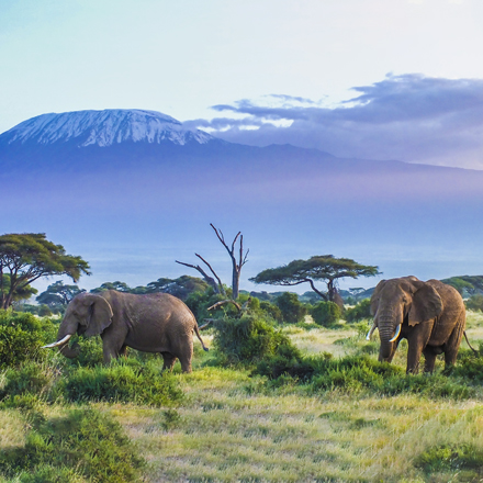 /images/destination/luxury-tanzania-safari-zanzibar-iti-2.jpg