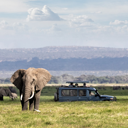 /images/destination/masai-mara-4.jpg