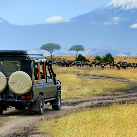/images/destination/masai-mara-zanzibar-getaway-itni-2.jpg