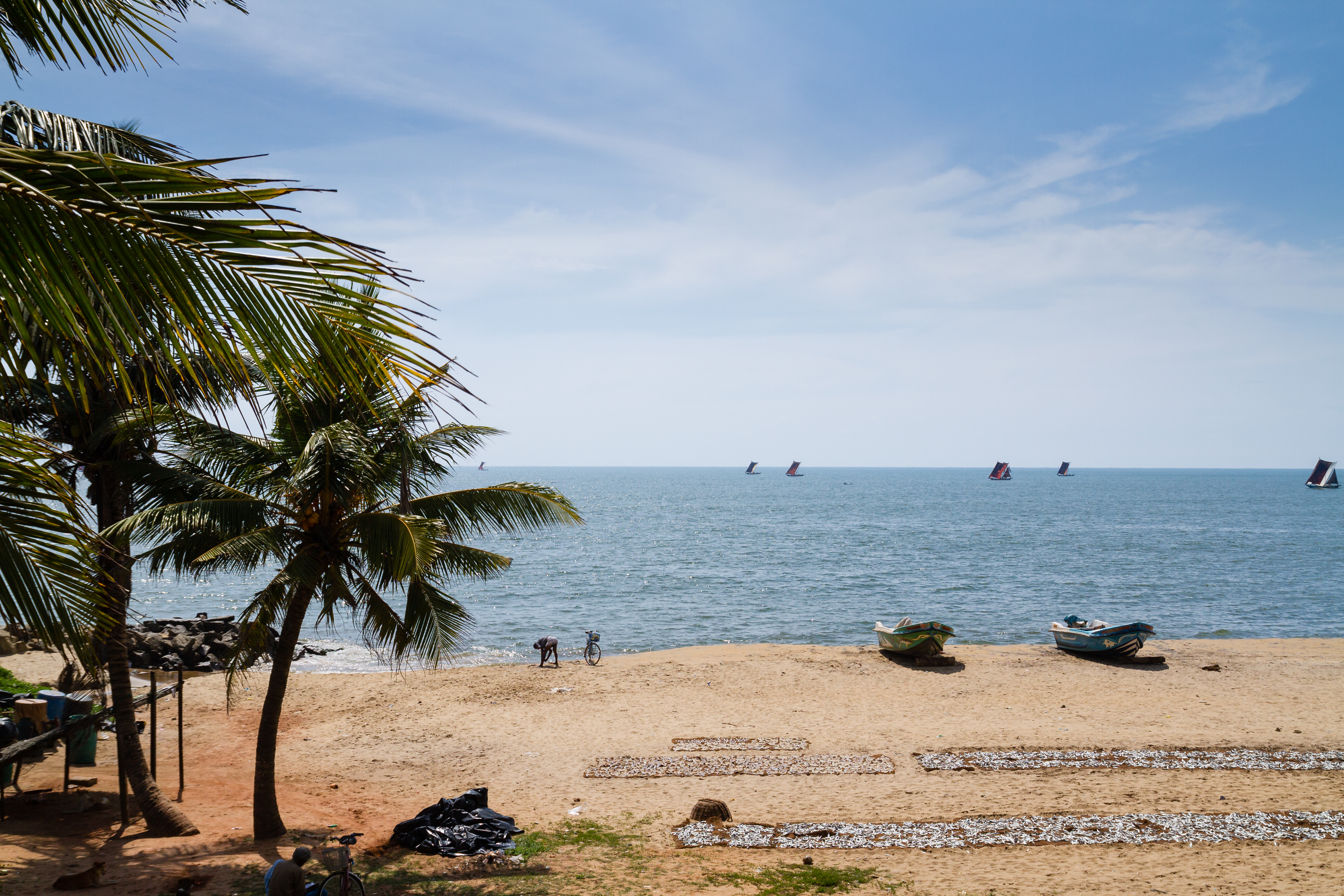 /images/destination/negombo-beach-sri-lanka-2026-03-26-00-09-55-utc.jpg