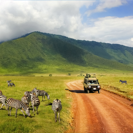 /images/destination/ngorongoro-crater-excursion-7-new.jpg