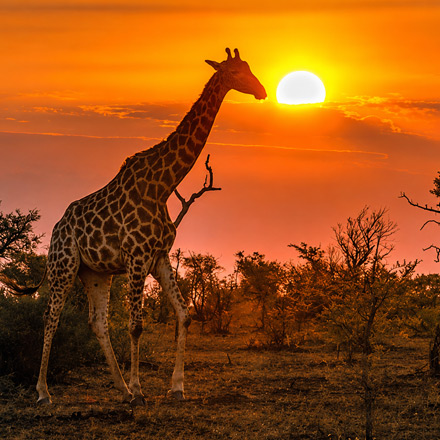 /images/destination/private-south-africa-tour-iti-2.jpg
