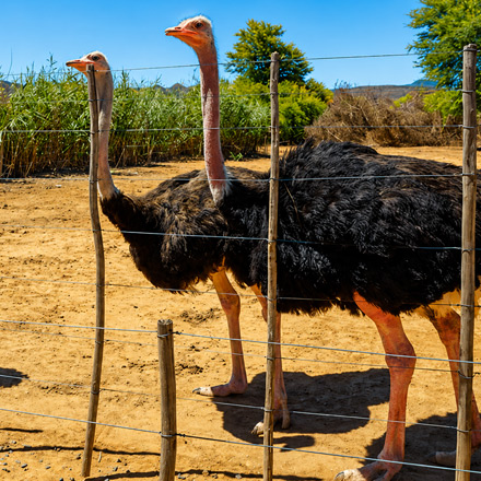 /images/destination/private-south-africa-tour-iti-6.jpg