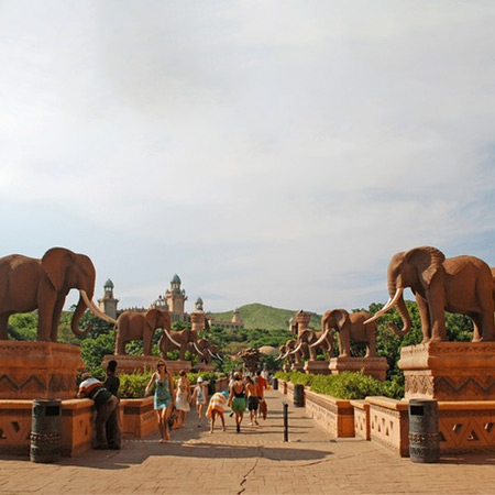 /images/destination/roar-with-knysna-iti-3.jpg