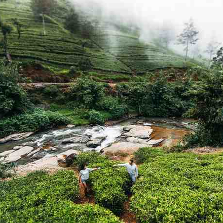 /images/destination/sri-lanka-wonder-magical-journey-iti-7.png