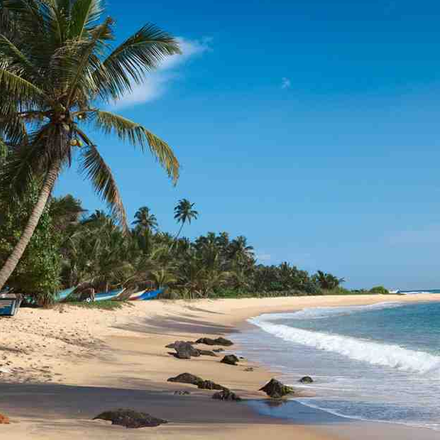 /images/destination/sri-lanka-wonder-magical-journey-iti-8.png