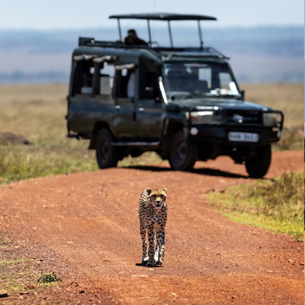 /images/destination/ultimate-kenya-safari-adventure-iti-2.jpg