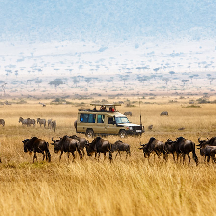 /images/destination/ultimate-kenya-safari-adventure-iti-5.jpg