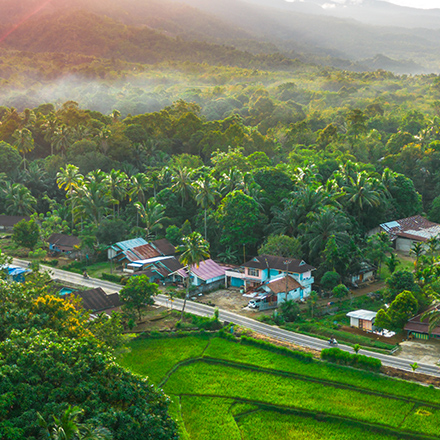 /images/destination/wayanad_2.jpg