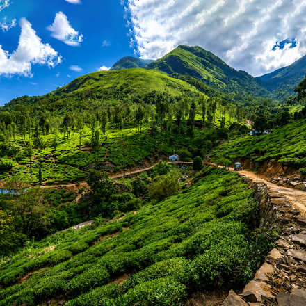 /images/destination/wildlife-and-heritage-tour-iti-7.jpg