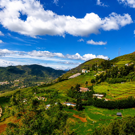 /images/destination/wildlife-and-heritage-tour-iti-8.jpg