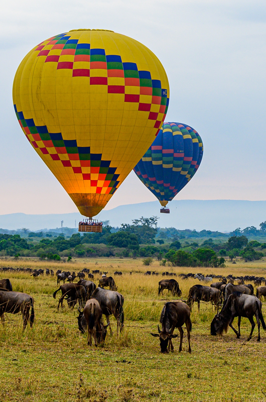 MAASAI MARA NATIONAL