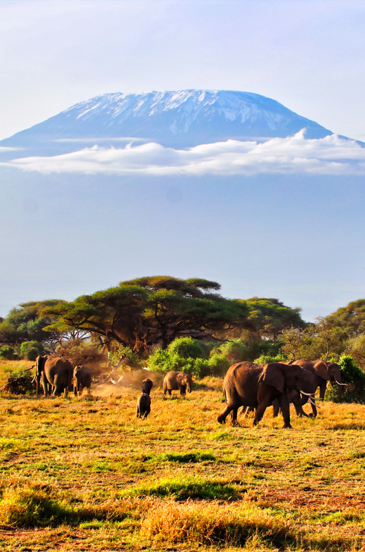 NAIROBI NATIONAL PARK