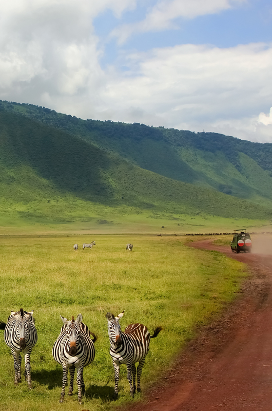NGORONGORO CONSERVATION