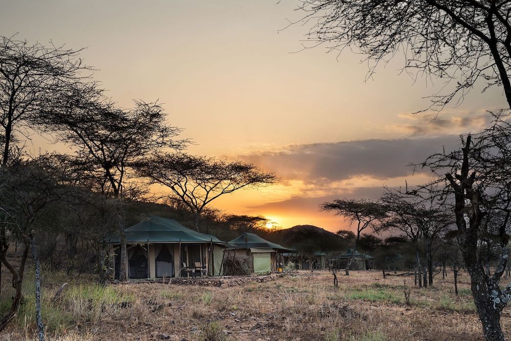 Serengeti Ole Serai Luxury Camp 